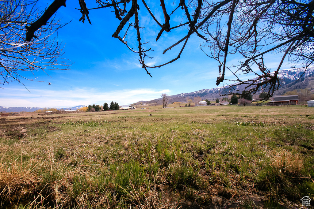 View of yard with a rural view and a mountain view