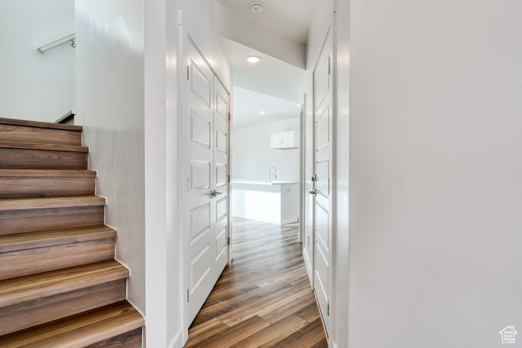 Staircase featuring hardwood / wood-style flooring