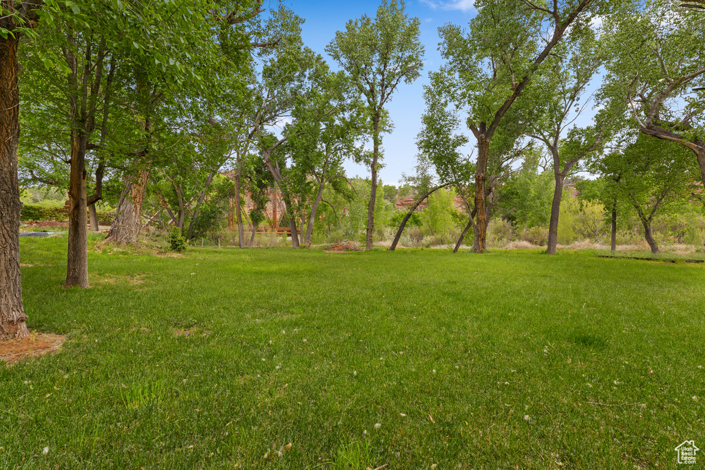 View of grassy yard