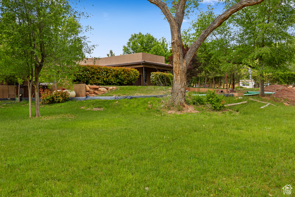 View of grassy yard