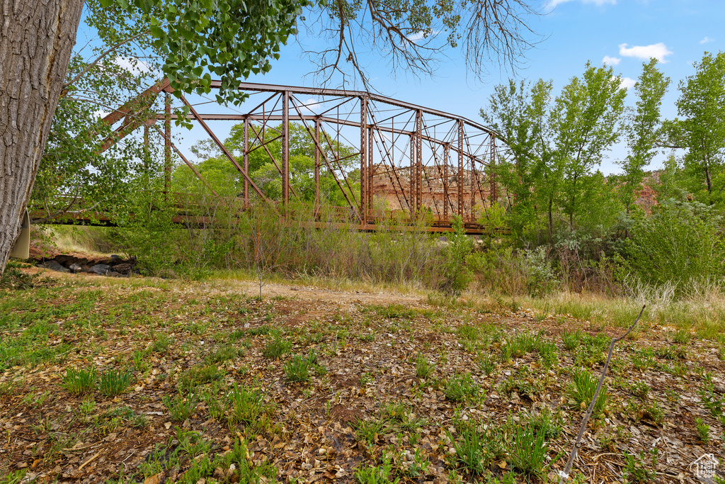 View of local wilderness