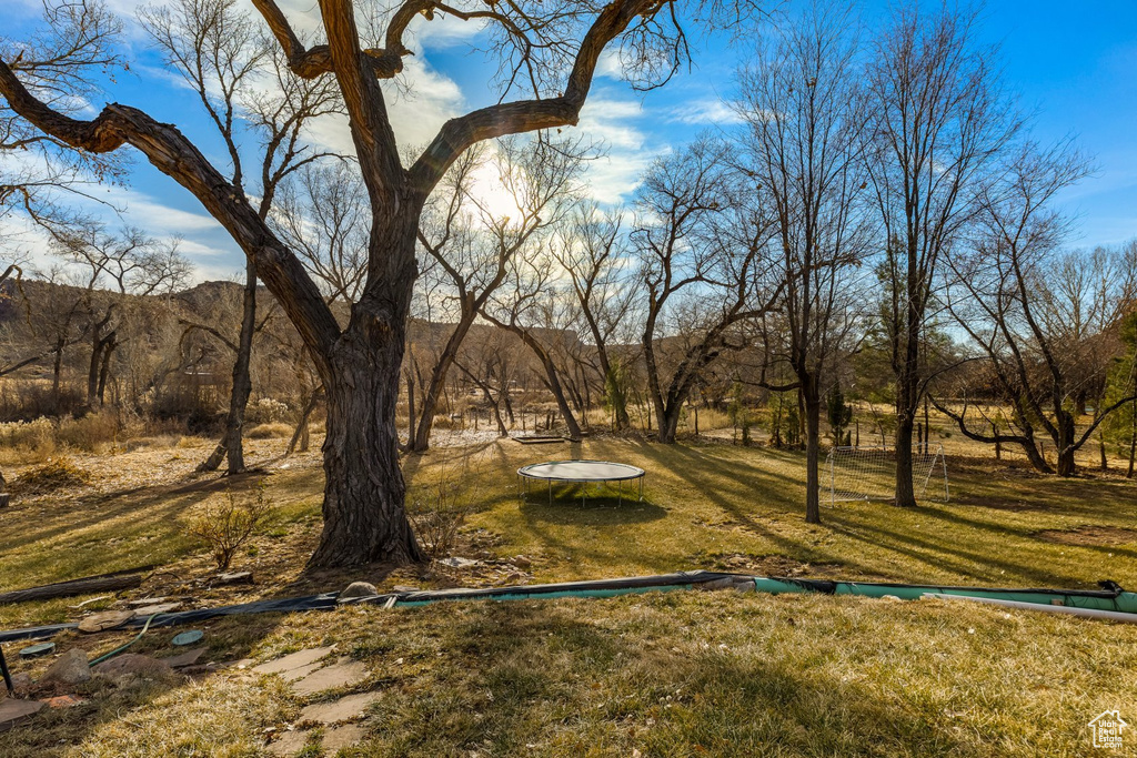 View of grassy yard featuring a mountain view