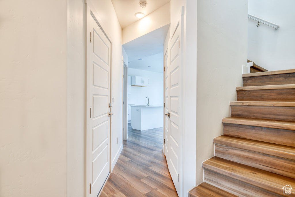 Staircase featuring sink and hardwood / wood-style floors