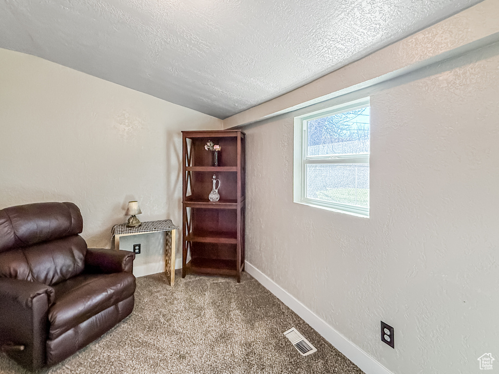 Sitting room with carpet flooring, a textured wall, baseboards, a textured ceiling, and visible vents