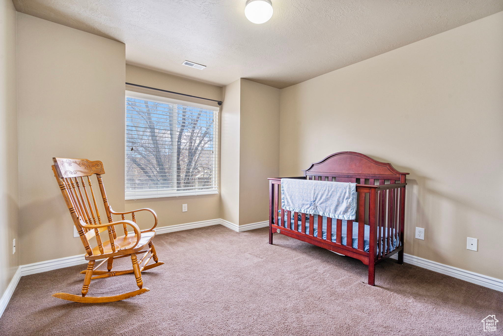 Bedroom featuring carpet and a textured ceiling