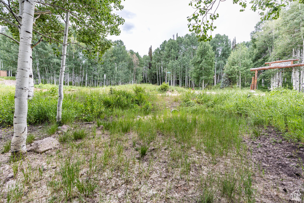 11911 E ANTELOPE DR Heber City, UT 84032