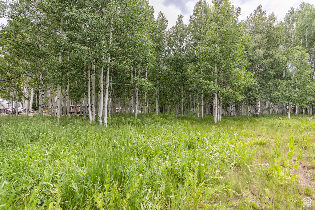 11911 E ANTELOPE DR Heber City, UT 84032