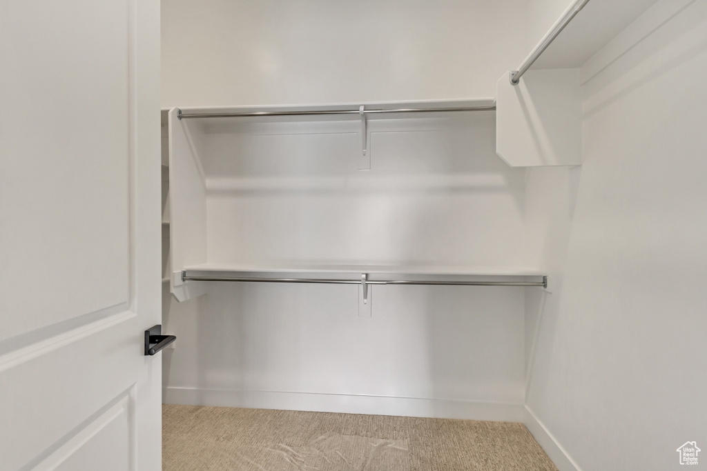 Spacious closet featuring light carpet