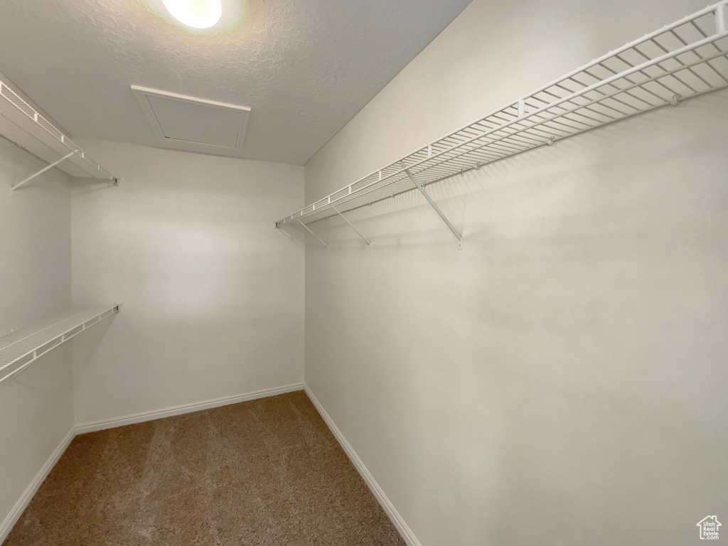 Spacious closet featuring carpet