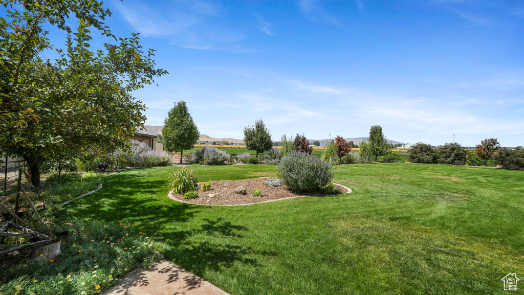 6668 S 3200 W Spanish Fork, UT 84660