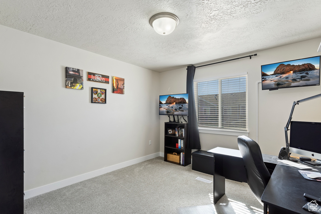Office area featuring light carpet, baseboards, and a textured ceiling