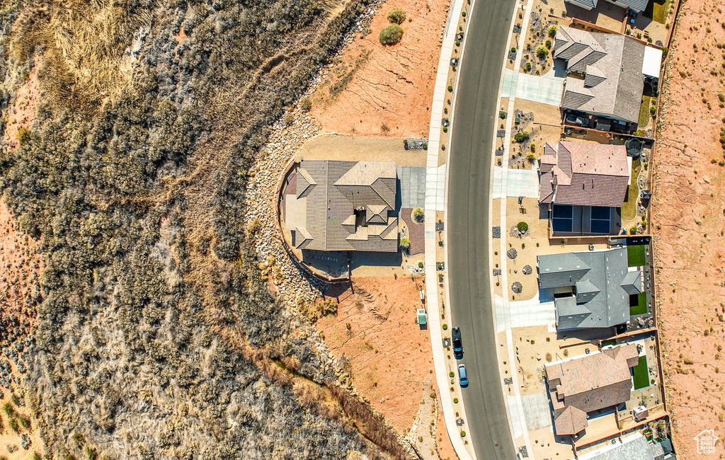 Bird\'s eye view
