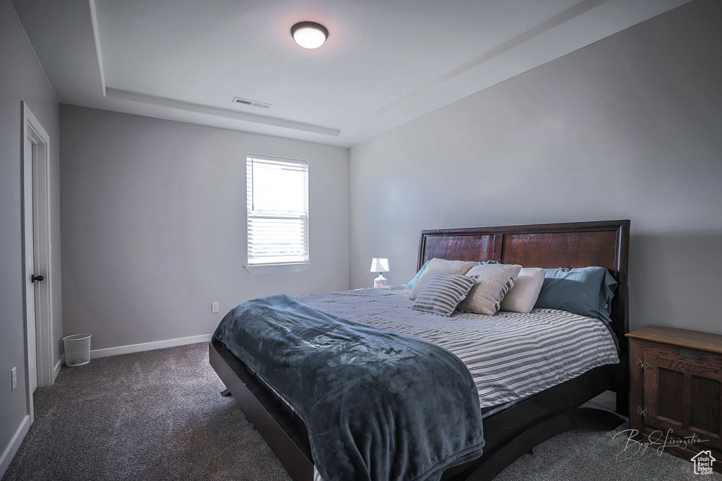 Carpeted bedroom with a tray ceiling