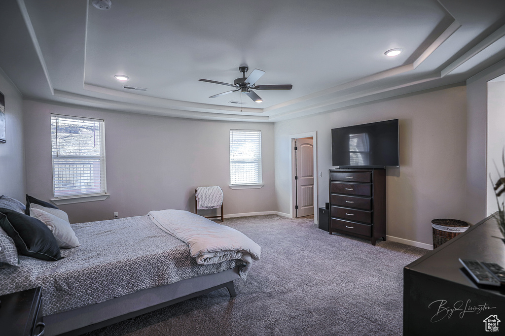 Bedroom with a raised ceiling, carpet, and ceiling fan