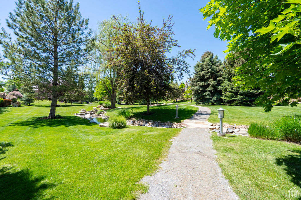 View of community featuring a yard