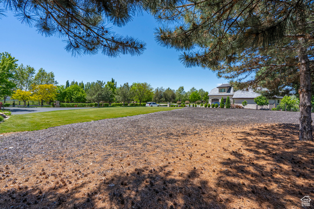 Surrounding community featuring a yard