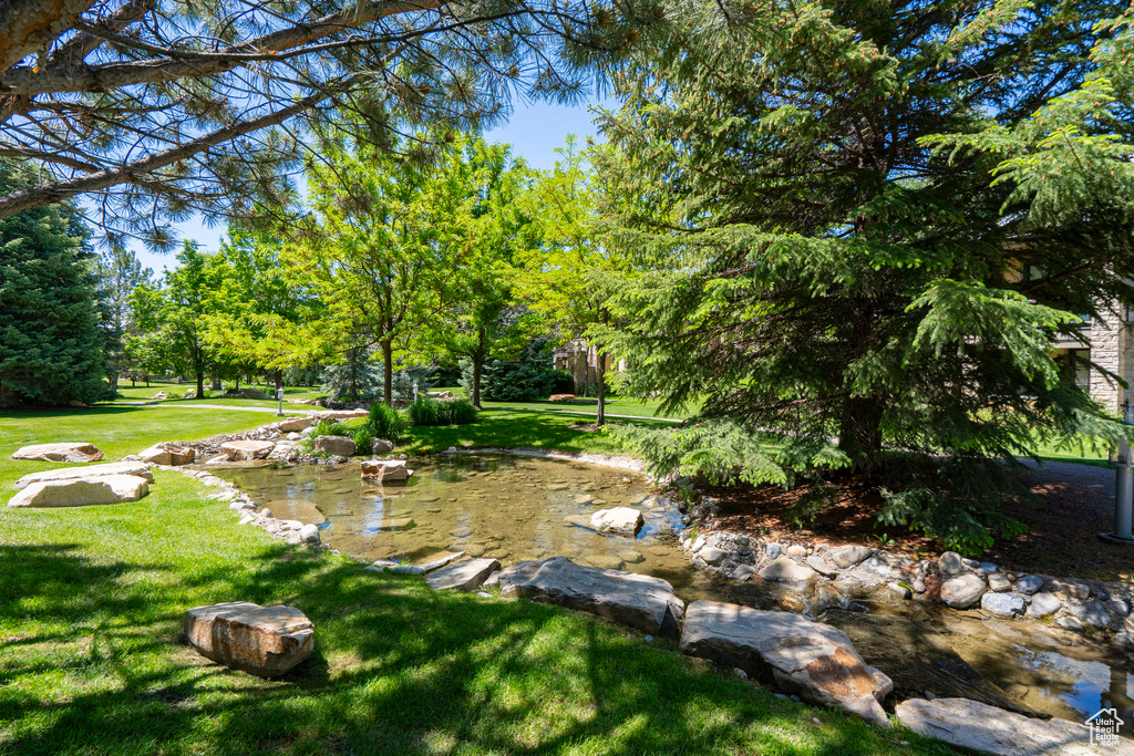 View of grassy yard with view of wooded area