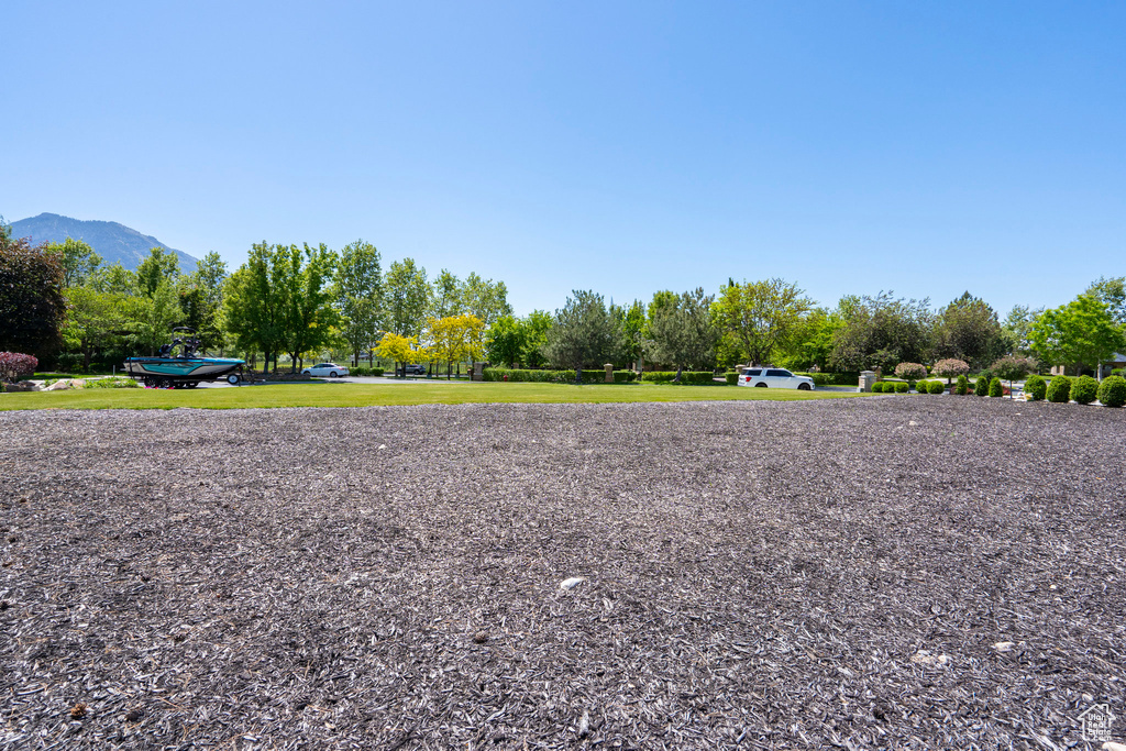View of yard featuring a mountain view and view of scattered trees