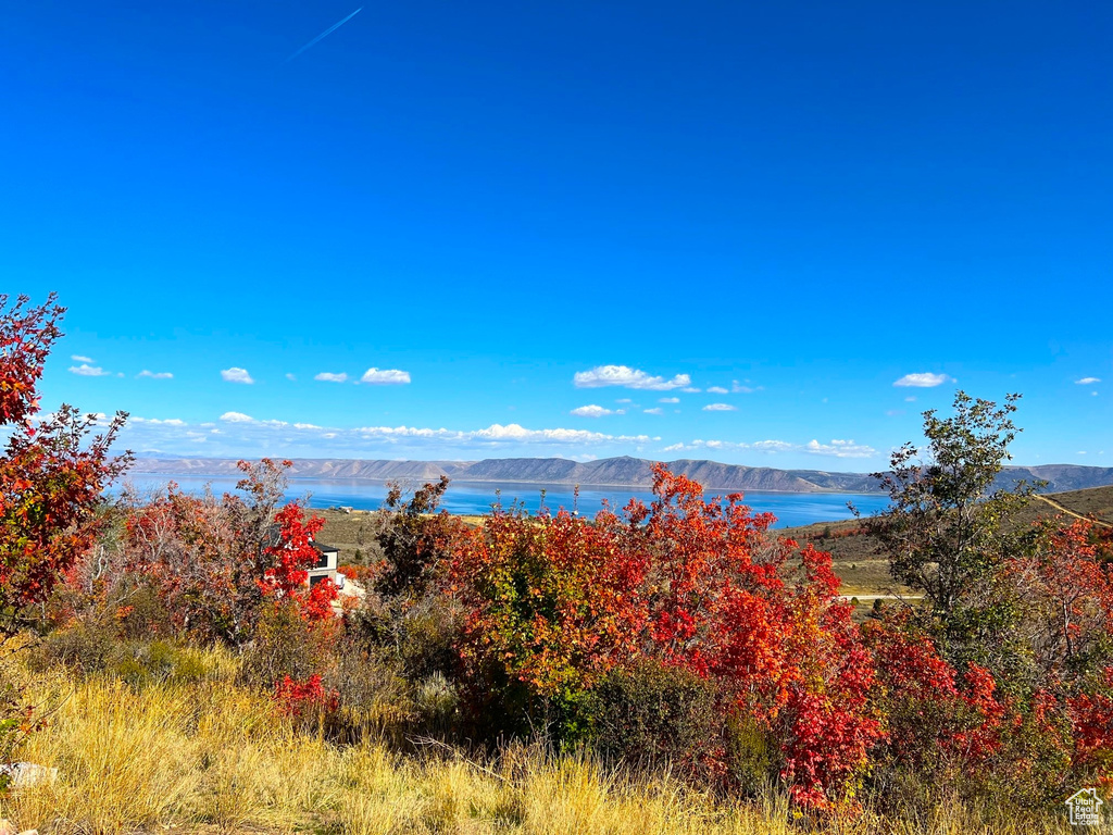 View of water feature with a mountain view