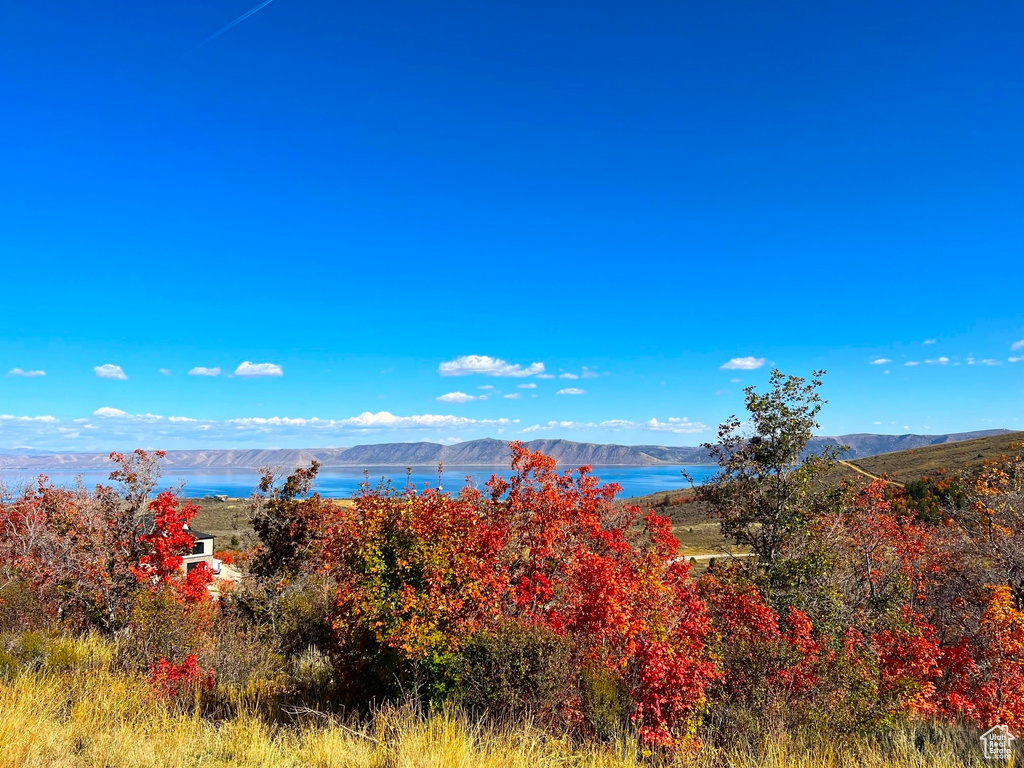 Property view of water featuring a mountain view