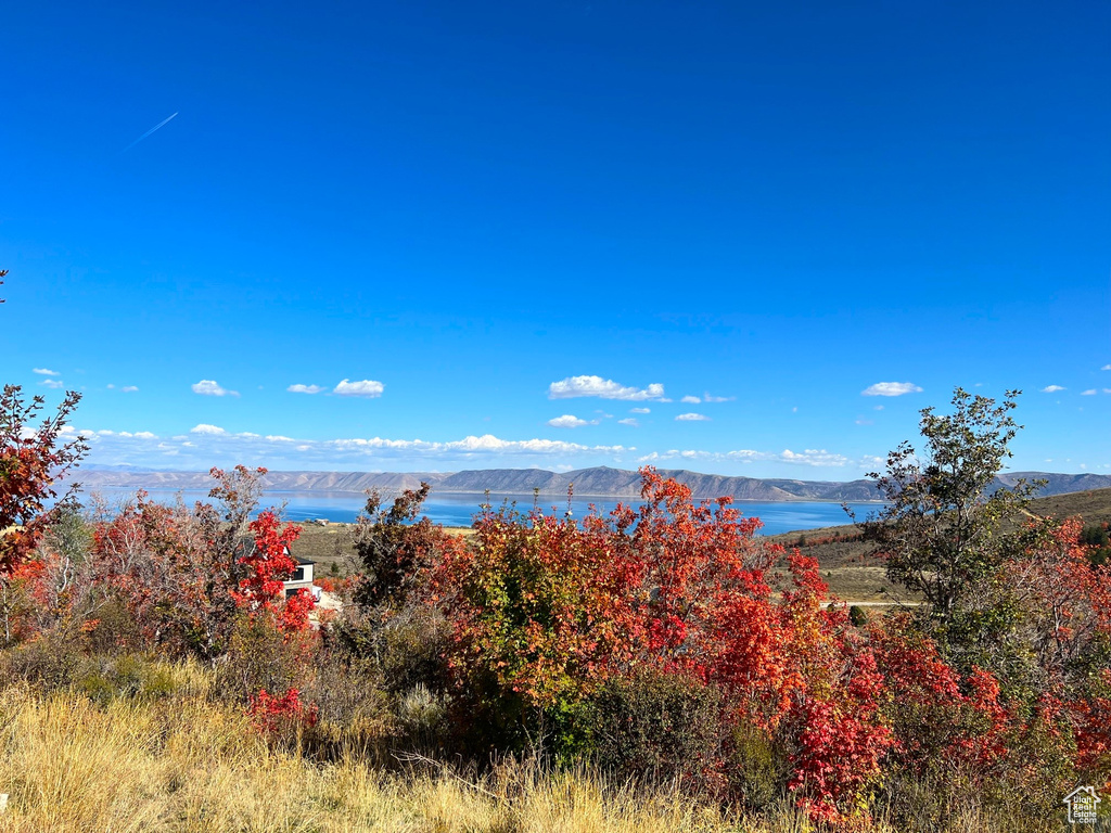 Water view with a mountain view