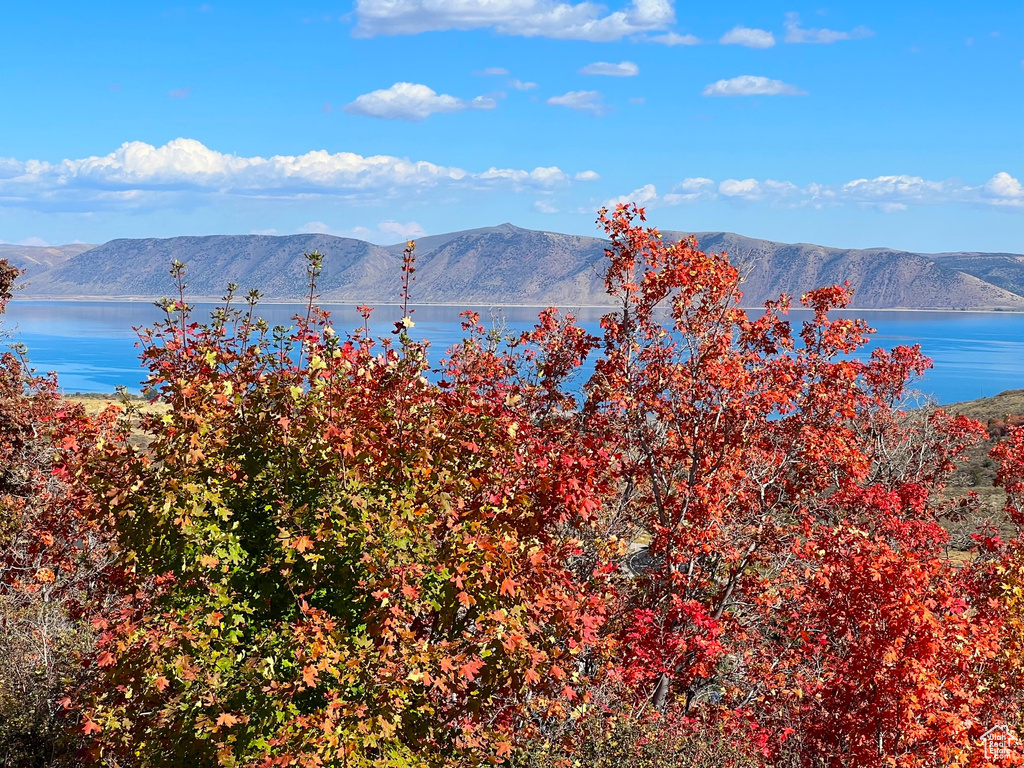 View of mountain feature featuring a water view