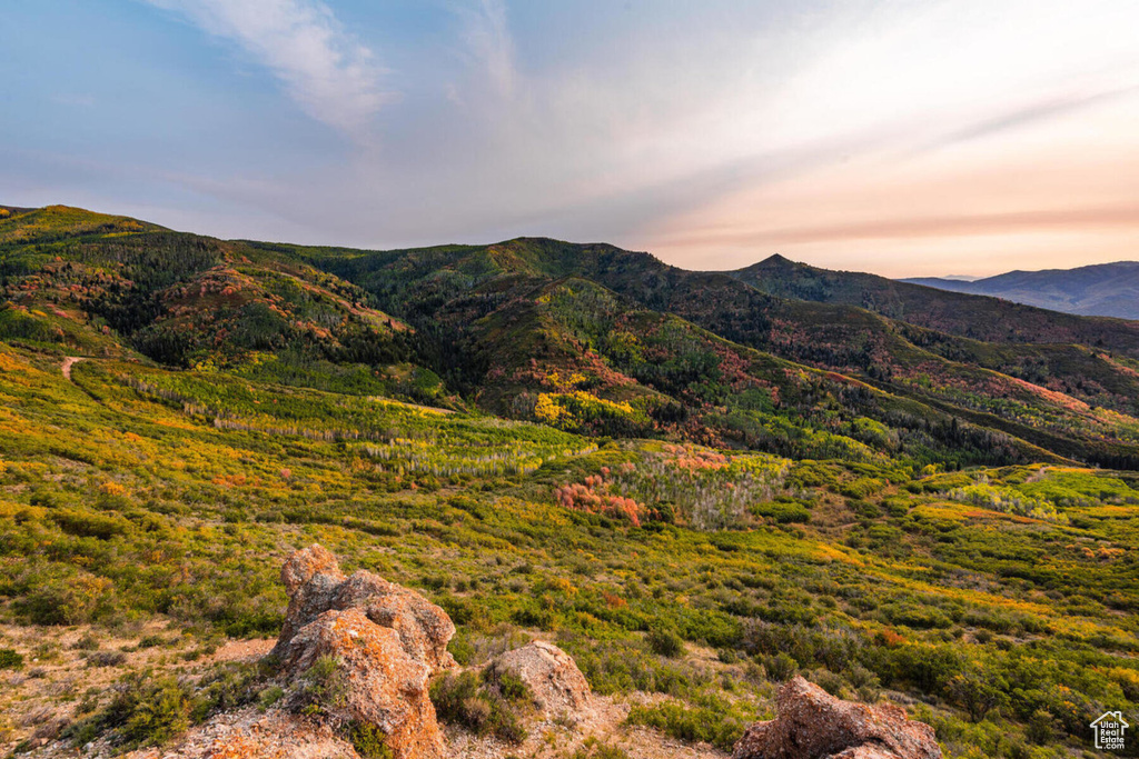 296 MACKENZIE LN #20 Coalville, UT 84017