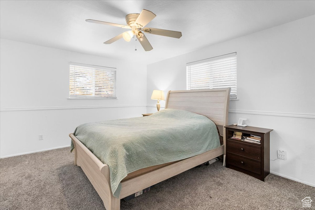 Carpeted bedroom featuring multiple windows and ceiling fan