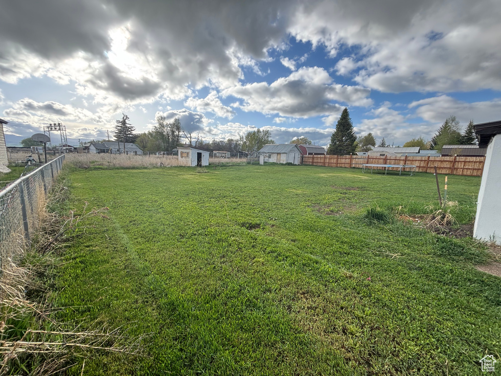 View of yard with a shed, a trampoline, and an outdoor structure