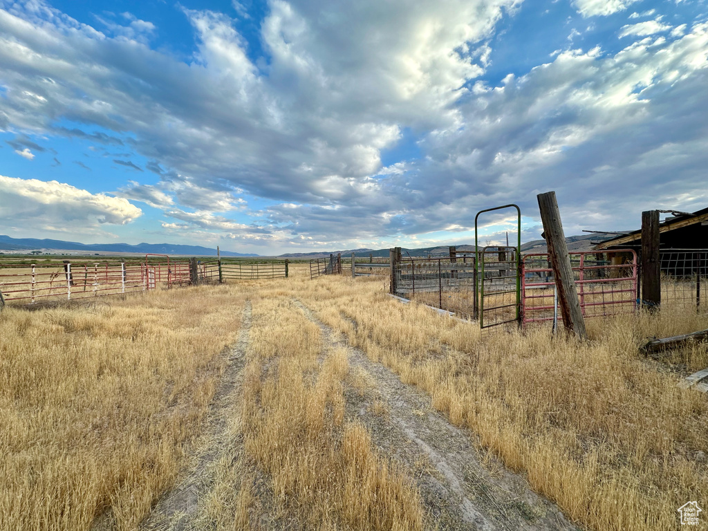 View of yard featuring a rural view