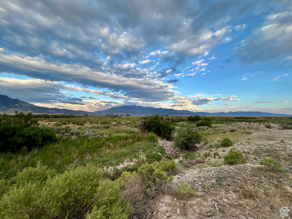 Mountain view