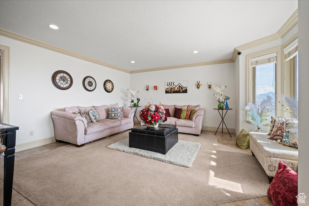 Living room featuring ornamental molding, light carpet, and a textured ceiling