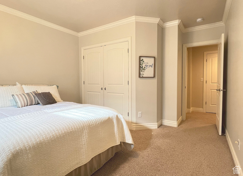 Carpeted bedroom with ornamental molding and a closet