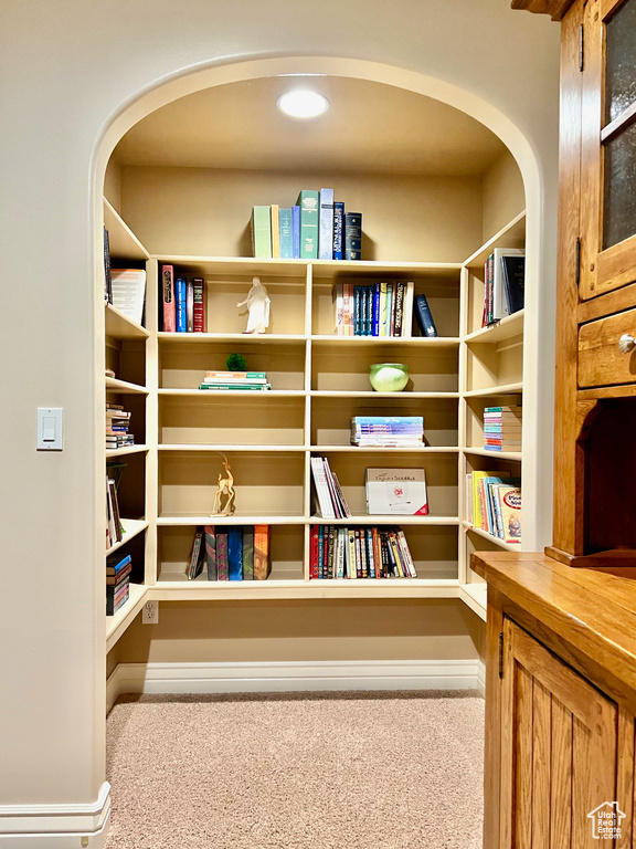 Interior space featuring carpet floors