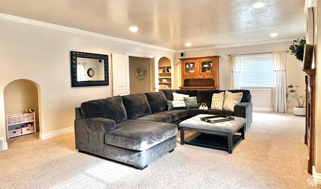 Carpeted living room featuring crown molding and built in shelves