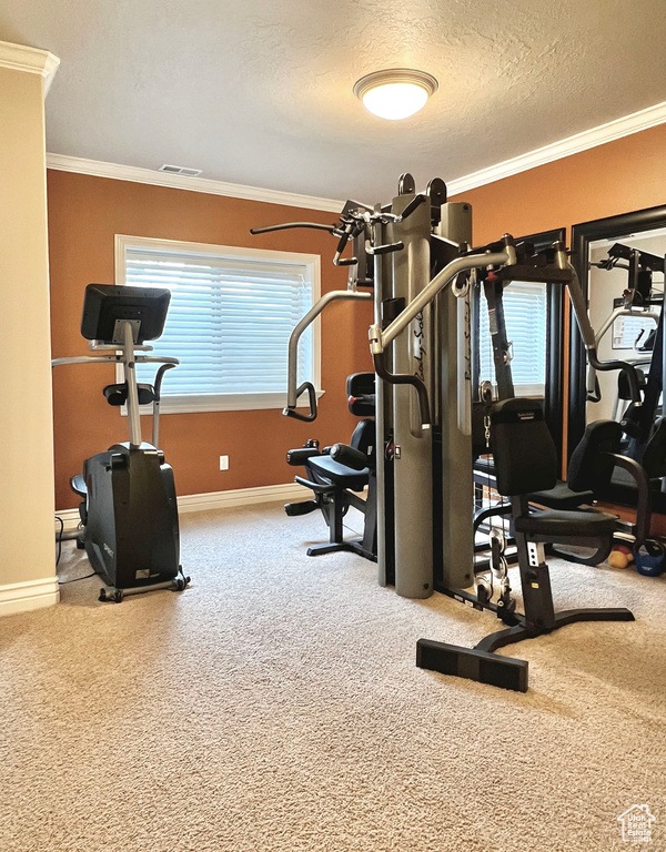 Workout room featuring crown molding, carpet, and a textured ceiling