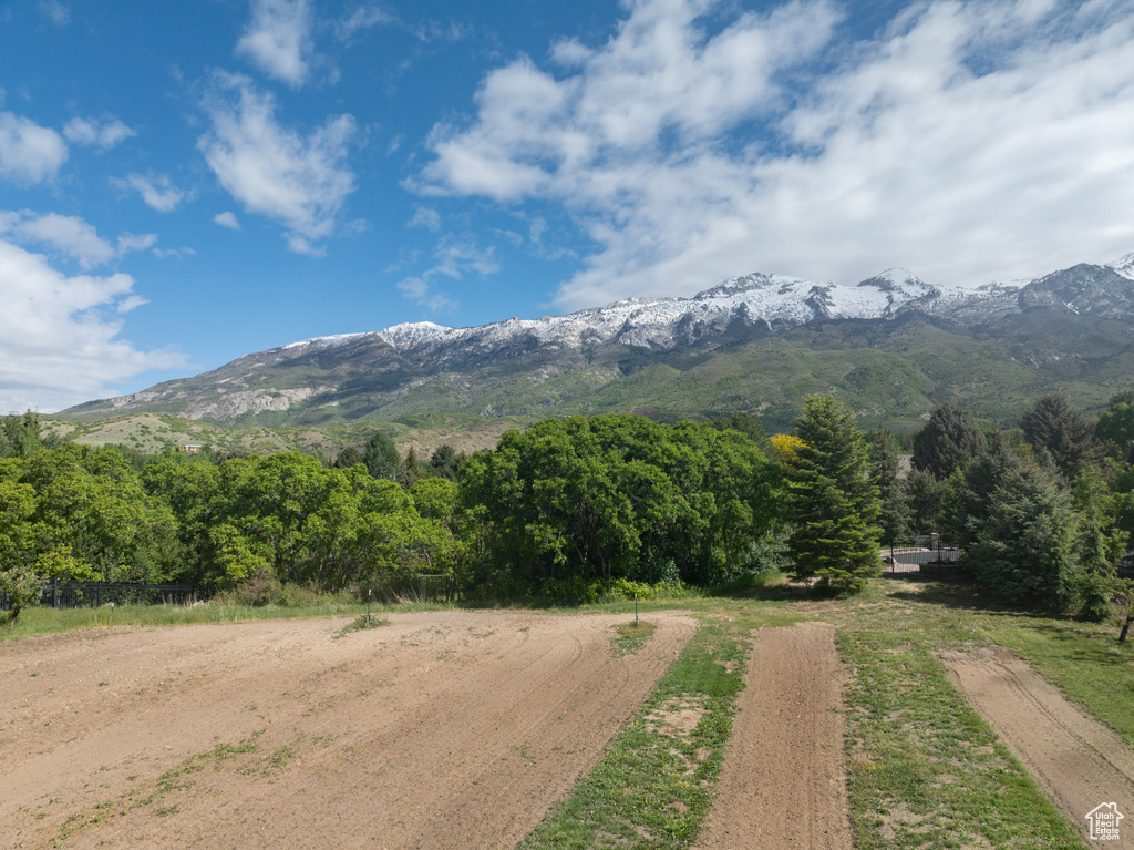 View of mountain backdrop with a heavily wooded area