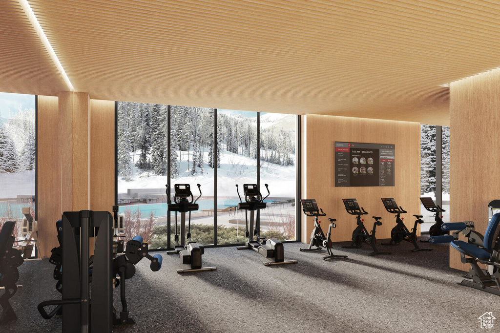 Exercise room featuring expansive windows
