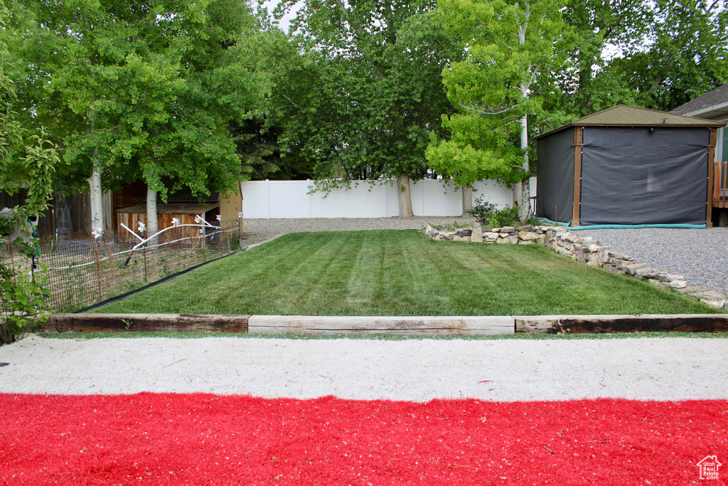 View of yard