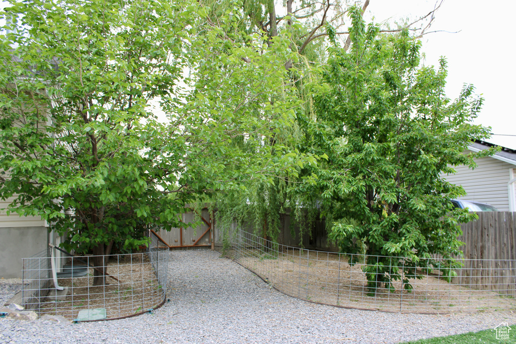 View of fenced backyard