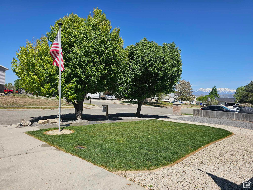 View of green lawn