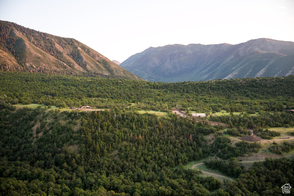 View of mountain background with a forest