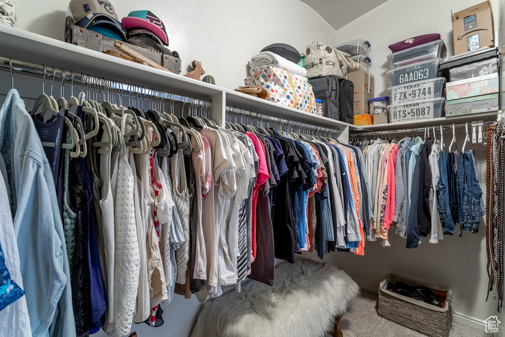 Walk in closet with carpet