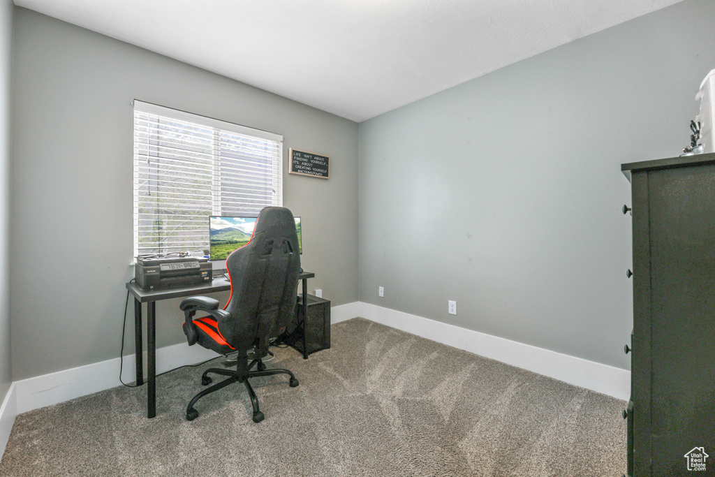 Office with baseboards and carpet flooring