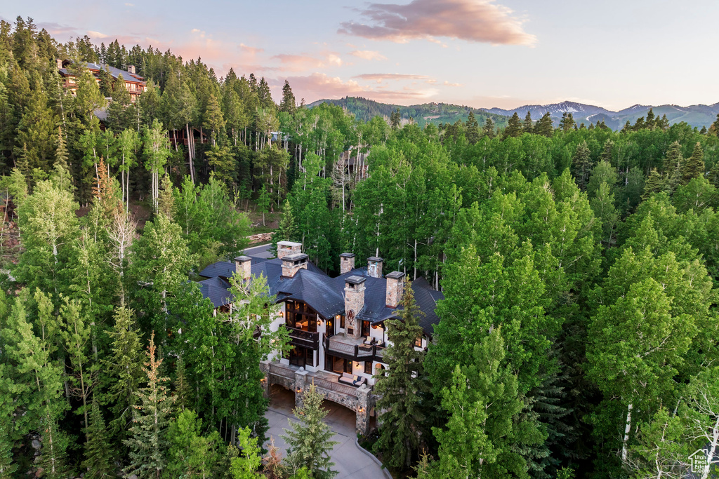 Photo 36 for MLS #2064420 at 7933 Bald Eagle Dr