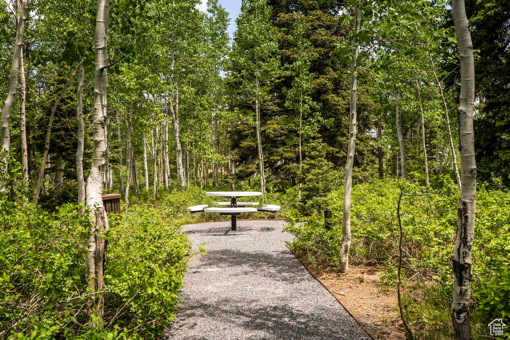 View of community featuring a forest view