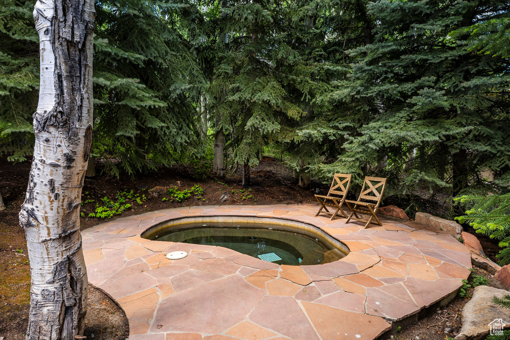 View of swimming pool featuring an in-ground hot tub and a patio area