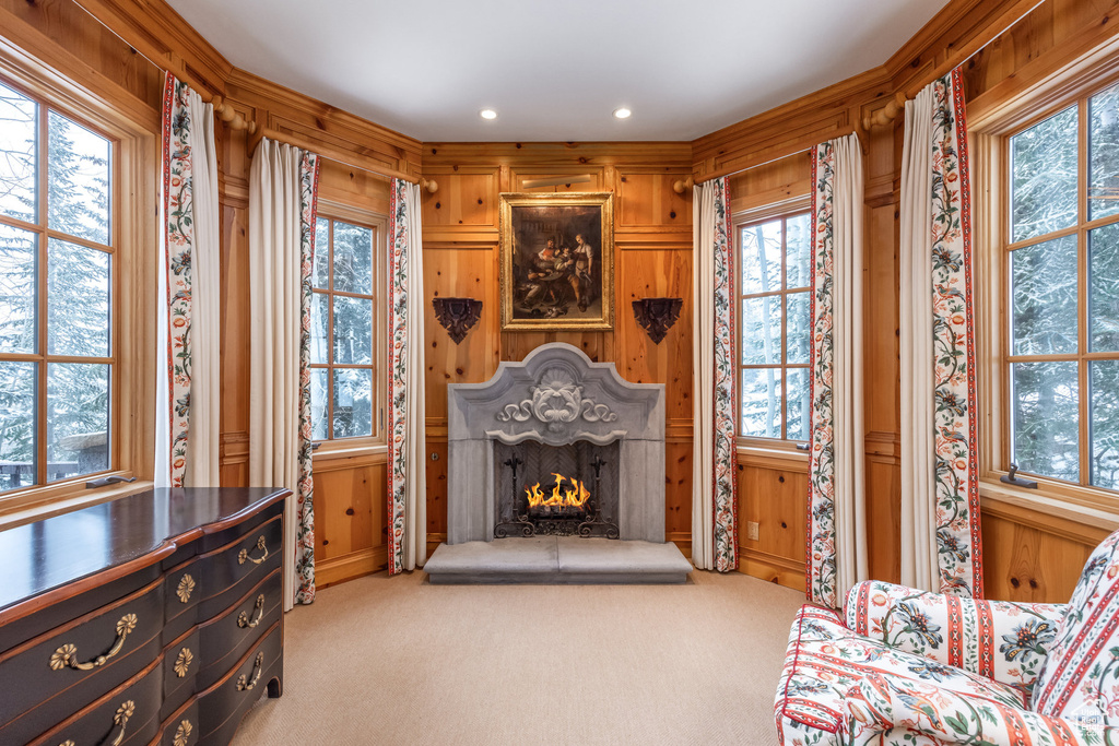 Living area featuring wood walls, recessed lighting, carpet, and a premium fireplace