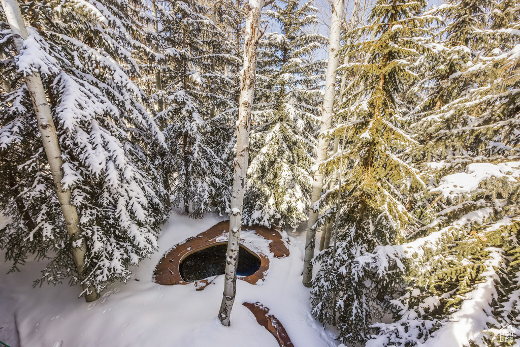 Photo 40 for MLS #2064420 at 7933 Bald Eagle Dr