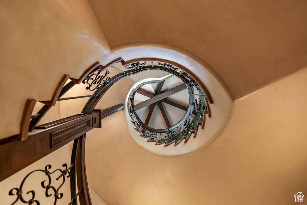 Detailed view